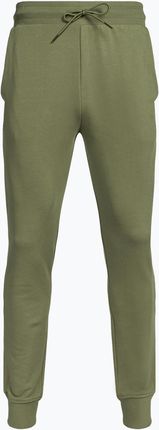 Spodnie męskie Napapijri Malis Sum green lichen | WYSYŁKA W 24H | 30 DNI NA ZWROT