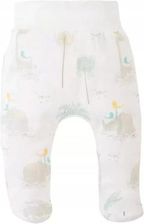 Zdjęcie 08243-68 MAKOMA - Półśpioch Rino r.68 - Sośnicowice