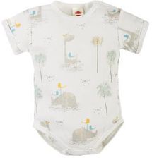 Zdjęcie 03243KR-68 MAKOMA - Body KR Rino r.68 - Pszów