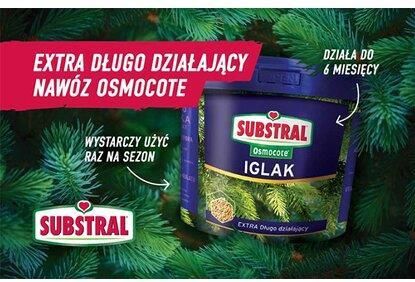 Substral Osmocote Nawóz Długo Działający Do Iglaków I Roślin Kwaśnolubnych 15 Kg