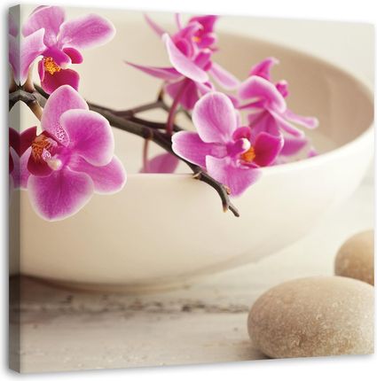 Feeby Obraz Na Płótnie Różowe Orchidee Zen Shabby Chic 30X30