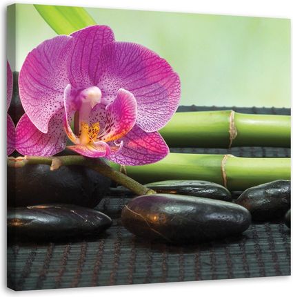 Feeby Obraz Na Płótnie Kwitnąca Orchidea Na Czarnych Kamieniach 30X30