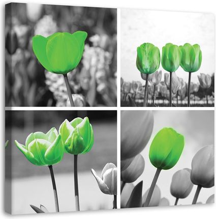 Feeby Obraz Na Płótnie Zielone Tulipany Kolaż 30X30