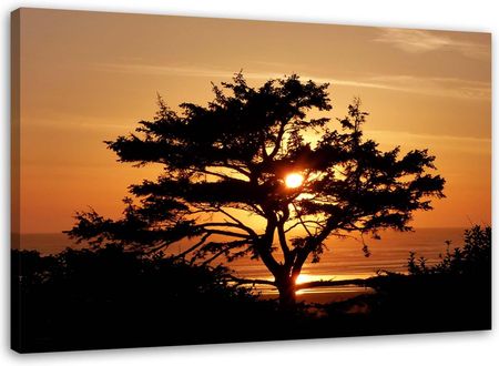 Feeby Obraz Na Płótnie Drzewo Nad Morzem O Zachodzie Słońca 120X80