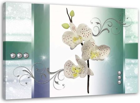 Feeby Obraz Na Płótnie Biała Orchidea Kwiat Natura 120X80