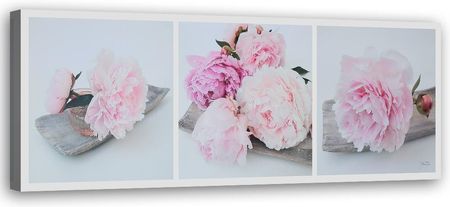 Feeby Obraz Na Płótnie Kwiaty Różowych Piwonii 120X40