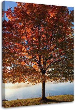 Feeby Obraz Na Płótnie Drzewo Jesieni 40X60