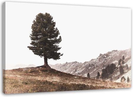 Feeby Obraz Na Płótnie Drzewo Na Wzgórzach 100X70