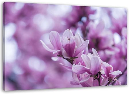 Feeby Obraz Na Płótnie Kwiaty Magnolii 100X70