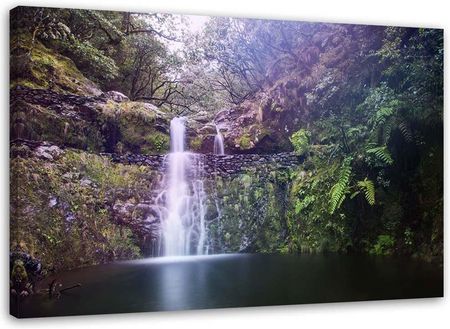 Feeby Obraz Na Płótnie Wodospad W Lesie 90X60