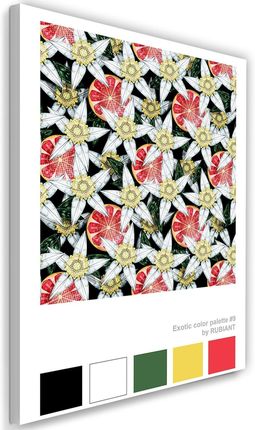 Feeby Obraz Na Płótnie Grejfruty I Białe Kwiaty Rubiant 40X60