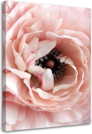 Feeby Obraz Na Płótnie Pastelowy Kwiat Piwonii 40X60