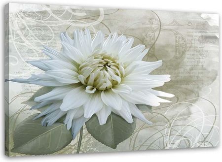 Feeby Obraz Na Płótnie Biały Kwiat Vintage 60X40