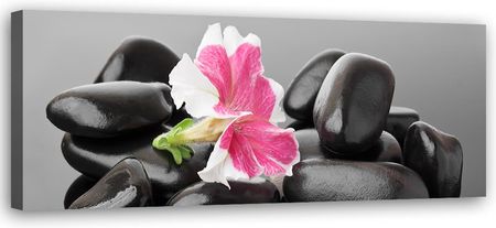 Obraz Na Płótnie Kwiat I Ciemne Kamienie Zen 120X40