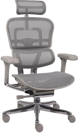 Ergonomiczny fotel biurowy Ergohuman 2 Elite Pro GS Grey