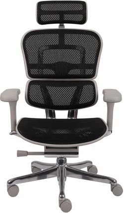 Ergonomiczny fotel biurowy Ergohuman 2 Elite Pro GS Black