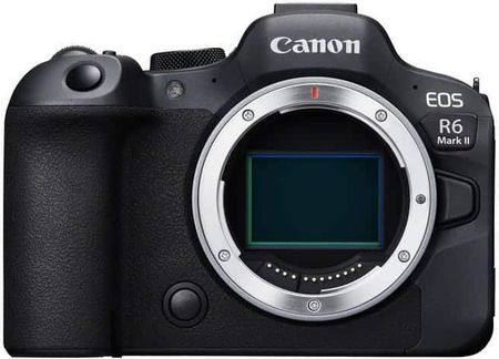 Canon EOS R6 Mark II + Canon RF 100 mm f/2.8 L Macro IS USM + Lampa K2 2x Godox MF12