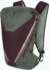 Dynafit Traverse 22L Sage Burgundy