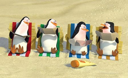 Prodej Fototapeta Pingwiny Z Madagaskaru 02 Szer.416 x Wys.254