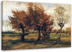 Feeby Obraz Na Płótnie Pejzaż Jesienny Z Czterema Drzewami V. Van Gogh Reprodukcja 60X40 - zdjęcie 1
