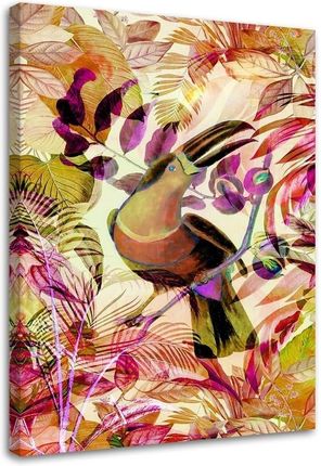 Feeby Obraz Na Płótnie Tropikalny Kolorowy Tukan Andrea Haase 40X60