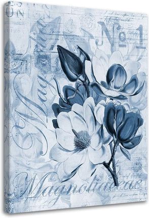 Feeby Obraz Na Płótnie Magnolie Niebieskim Pergaminie Andrea Haase 70X100