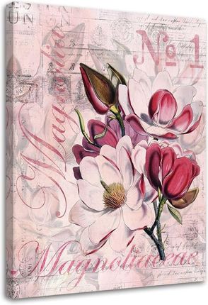 Feeby Obraz Na Płótnie Magnolie Różowym Pergaminie Andrea Haase 70X100