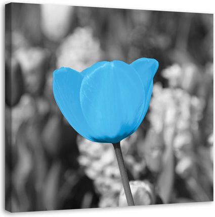 Feeby Obraz Na Płótnie Tulipan Kwiaty Rośliny Niebieski 30X30
