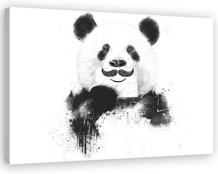 Feeby Obraz Na Płótnie Czarno Biała Panda Balazs Solti 100X70