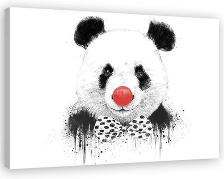 Feeby Obraz Na Płótnie Panda Z Nosem Klauna Balazs Solti 90X60