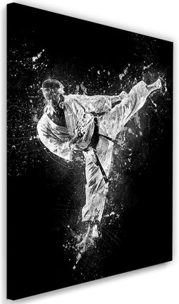 Feeby Obraz Na Płótnie Karate Cornel Vlad 70X100