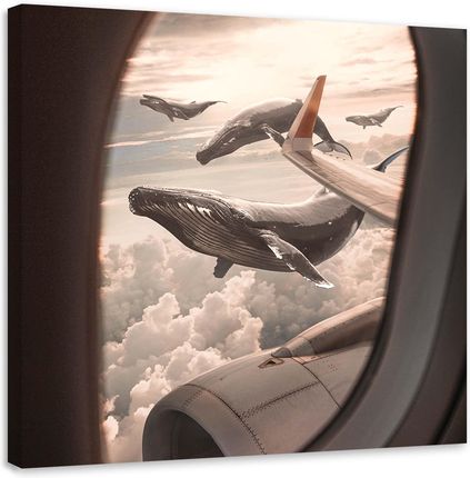 Feeby Obraz Na Płótnie Widok Wieloryby Z Samolotu Zehem Chong 40X40