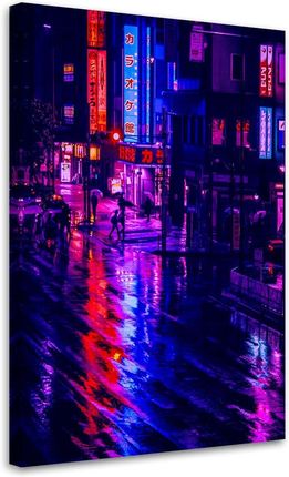 Feeby Obraz Na Płótnie Deszczowy Dzień W Tokio James Garcia Vega 40X60