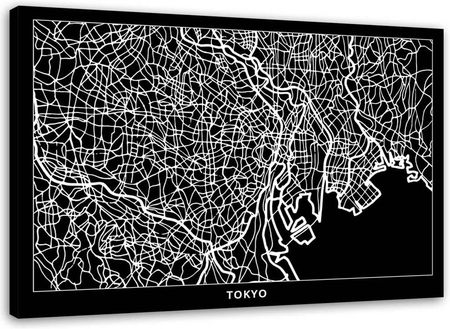 Feeby Obraz Na Płótnie Tokio Plan Miasta 120X80