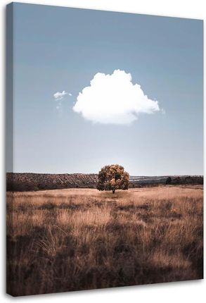 Feeby Obraz Na Płótnie Samotne Drzewo I Chmury 60X90