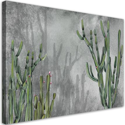 Feeby Obraz Duży Kaktus Pustynny 90X60