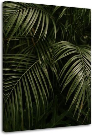 Feeby Obraz Na Płótnie Zielone Palmowe Liście 70X100