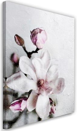 Feeby Obraz Na Płótnie Biały Kwiat Magnoli Dmitry Belov 70X100