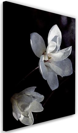 Feeby Obraz Na Płótnie Kwiat Z Kwitnącego Drzewa Dmitry Belov 40X60