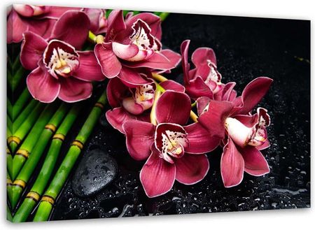 Feeby Obraz Na Płótnie Orchidea Bambusie 90X60