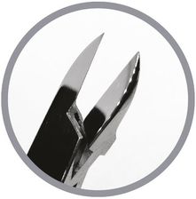 Zdjęcie Podoland Cęgi 01 - Golczewo