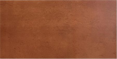 PANEL ŚCIENNY 100X50 BLACHA CORTEN RDZA MIEDŹ 7114