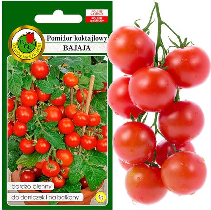 Pomidor Koktajlowy Bajaja Plenny Nasiona Bez Gmo 1g