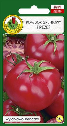 Pomidor Gruntowy Malinowy Prezes Nasiona Bez Gmo 0,5g