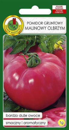Pomidor Malinowy Duży Smaczny Nasiona Bez Gmo 1g