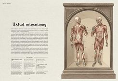 Zdjęcie Anatomicum - Rajgród
