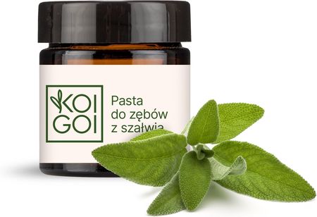 Artyzan Naturalna Bez Fluoru Z Szałwią 50ml