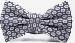 Zdjęcie Niebiesko-biała mucha męska - Góra Kalwaria