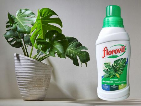 Nawz Nawz Odywka Do Monstery Variegaty Monkey Innych Pnczy 0,55l /60L  Roztworu - Ceny i opinie - Ceneo.pl