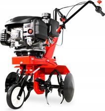 Zdjęcie Cedrus Loncin Glebogryzarka Spalinowa Kultywator Lc1P65Fe Ced1Wg2236Fqda - Łęczyca
